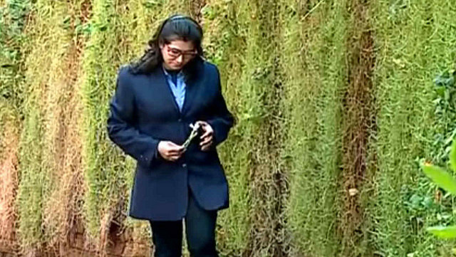 Resultado de imagen de monja francisca chile embarazada