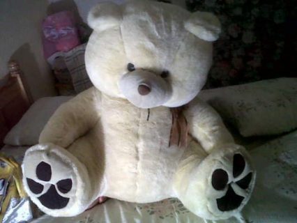 WTF!!? Escondió el cadáver de su hija en un oso de peluche