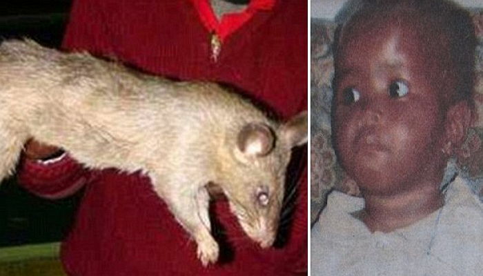 Sesi Mtshali에 대한 이미지 검색결과