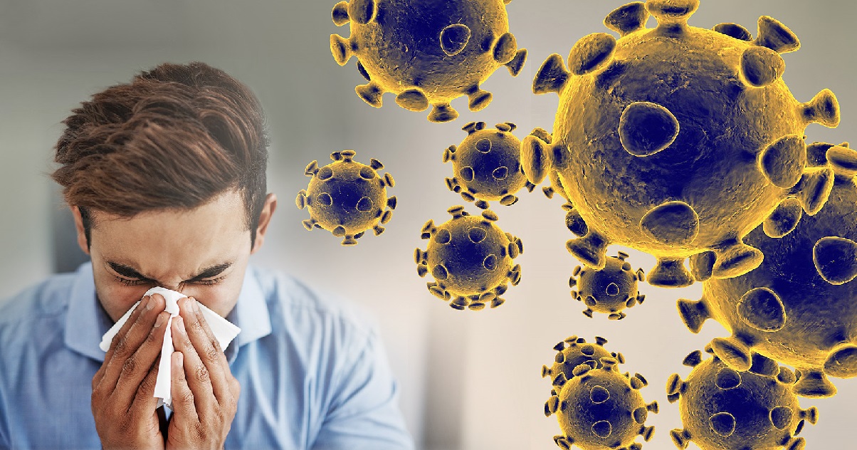 Coronavirus, le nombre de décès augmente: bulletin d'aujourd'hui de l'ASL et des hôpitaux Coronavirus, le nombre de décès augmente: bulletin d'aujourd'hui de l'ASL et des hôpitaux