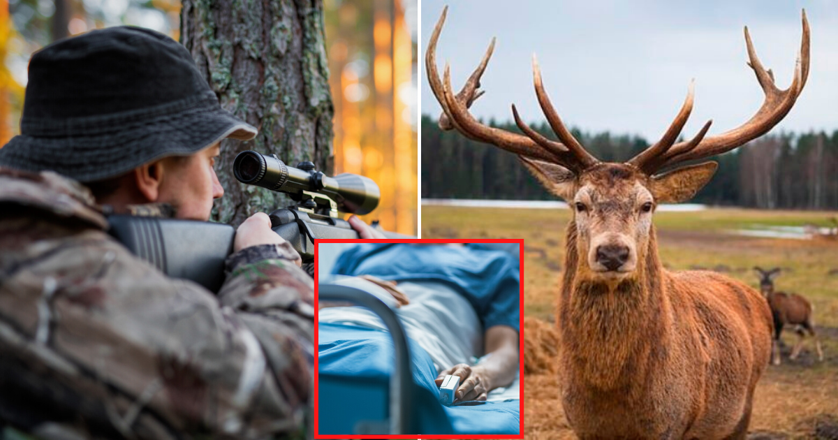 Deer Ripped Off A Hunter's Face After It Charged Into Him While Trying ...