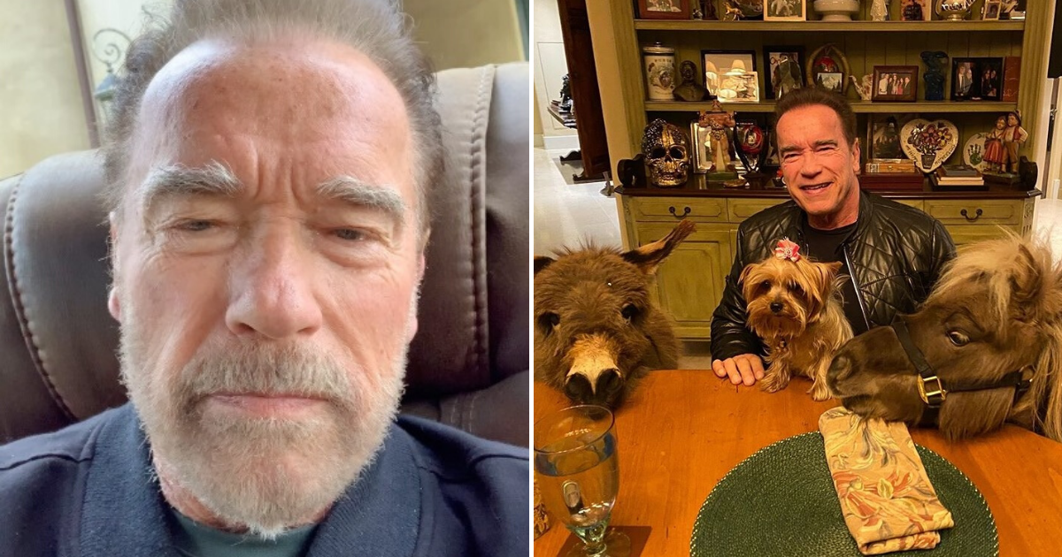 Arnold Schwarzenegger Urged People To Stay At Home As He SelfIsolated