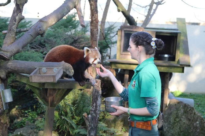 how to take care of animals in the zoo