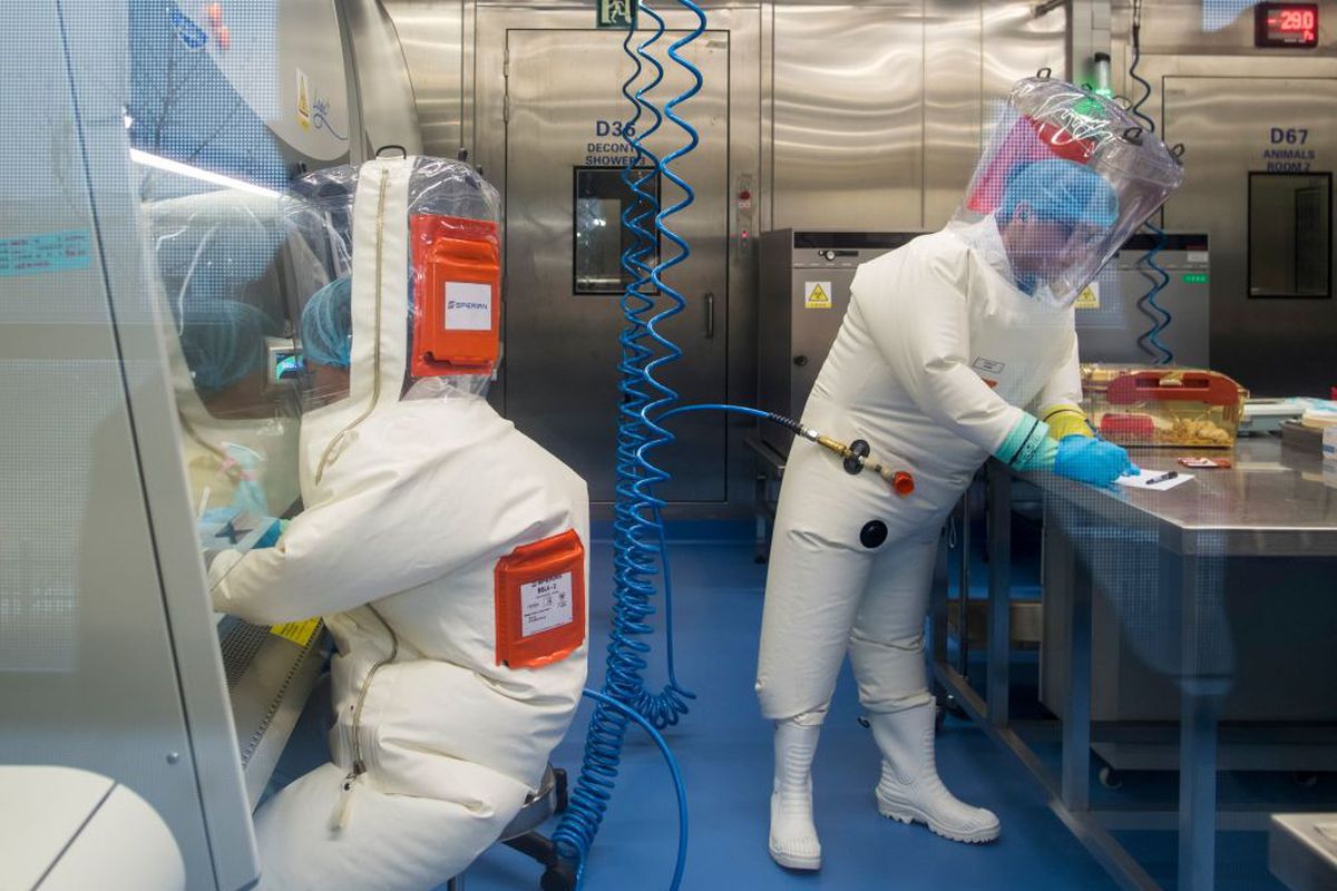 How did the coronavirus outbreak start? It didn