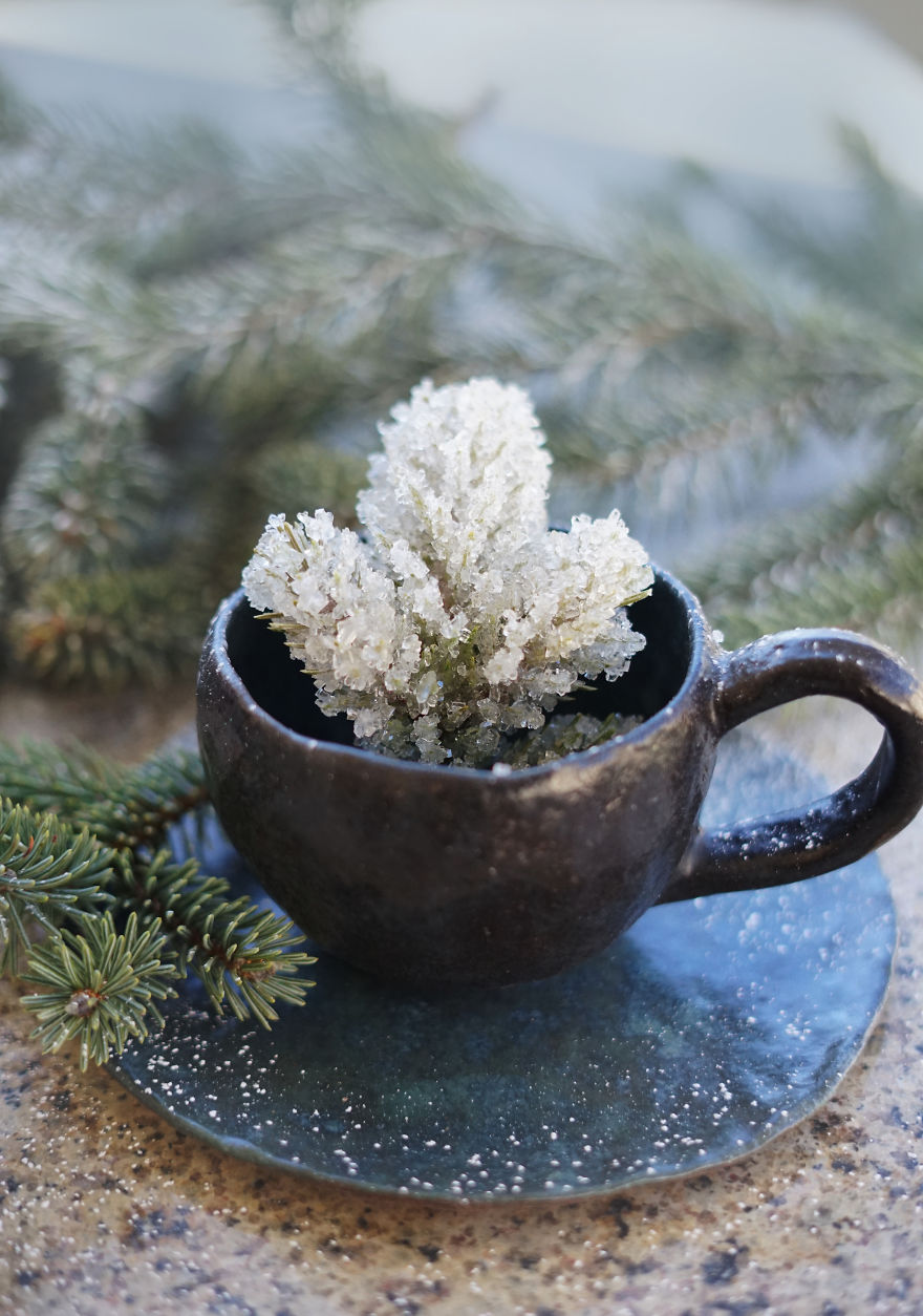 Frosted Branch Tea Frosted Branch Tea