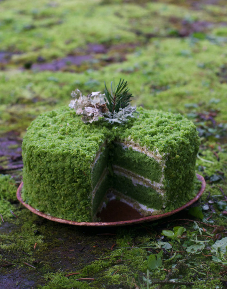 Moss Cake Moss Cake