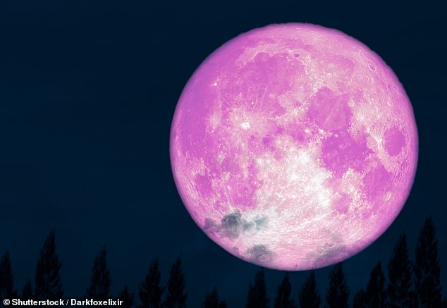 Yet for all those thousands of stars, mankind has always retained a special, fervent connection with moon. And if the Moon ¿ known as our ¿eighth continent¿ ¿ seems inextricably linked to everything here on earth, that¿s because it is