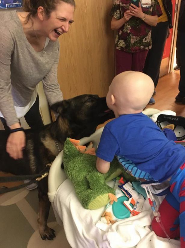 Conforta a su madre antes de morir en sus brazos | EL DEBATE