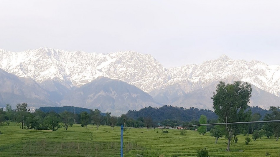 Cuarentena en India logra bajar la contaminación y deja ver el ...