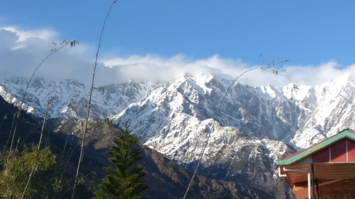 Fotos] Cuarentena permitió que finalmente se vieran los Himalaya ...