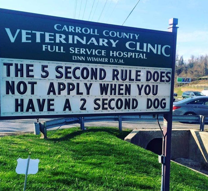 Funny-Carroll-County-Veterinary-Clinic-Signs Funny-Carroll-County-Veterinary-Clinic-Signs