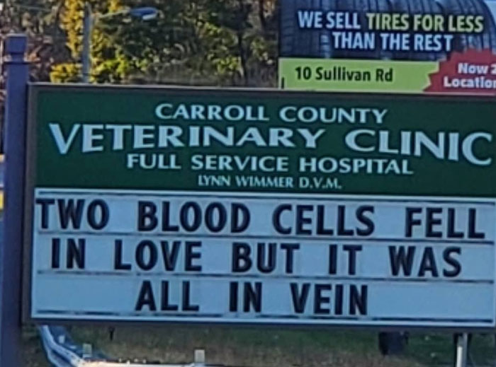 Funny-Carroll-County-Veterinary-Clinic-Signs Funny-Carroll-County-Veterinary-Clinic-Signs
