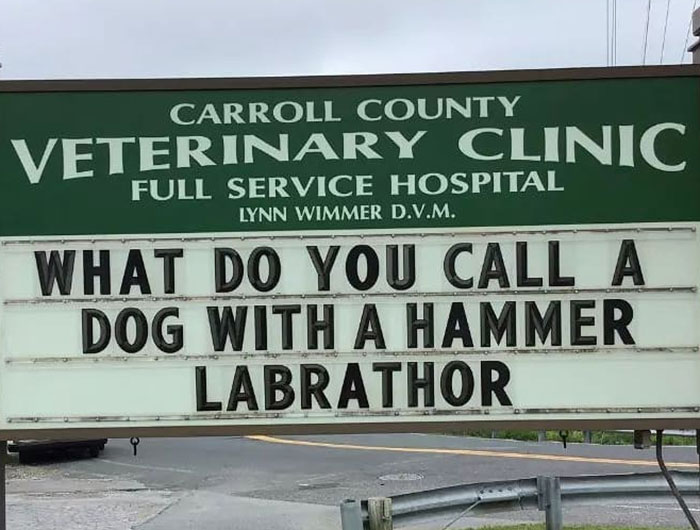 Funny-Carroll-County-Veterinary-Clinic-Signs Funny-Carroll-County-Veterinary-Clinic-Signs