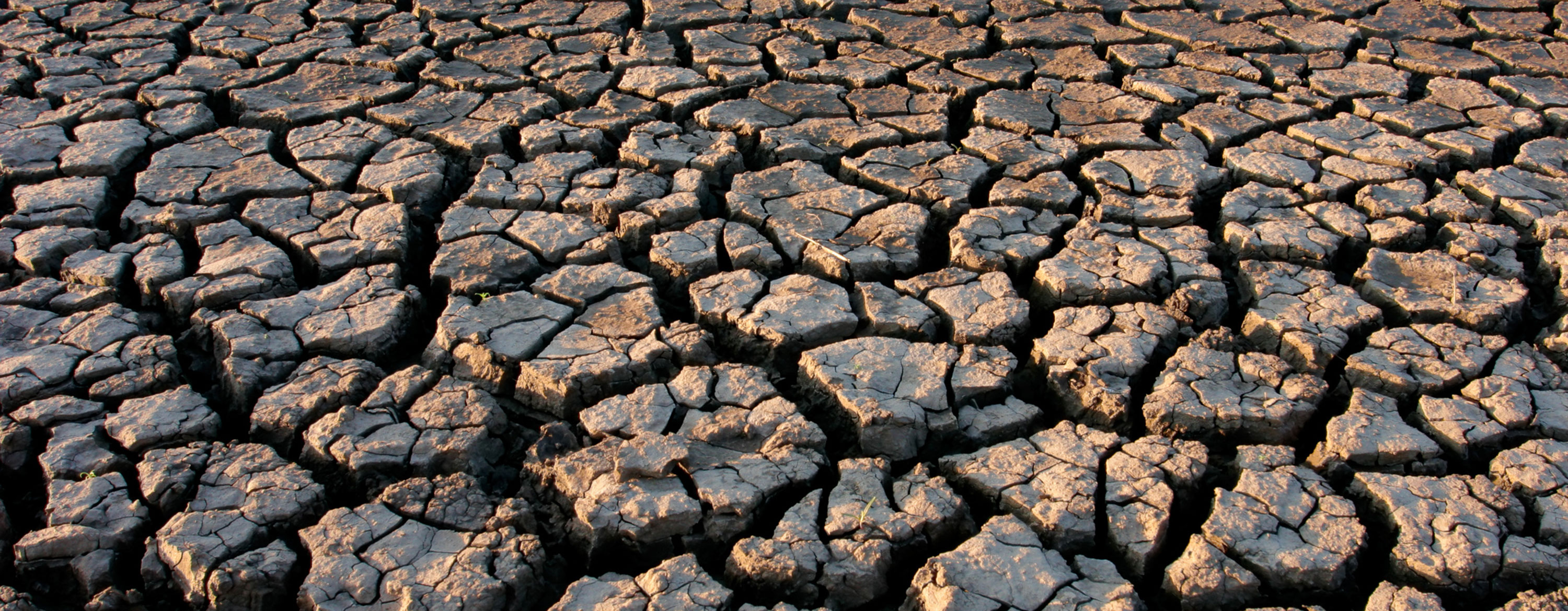 current-drought-in-western-usa-could-be-a-megadrought-small-joys