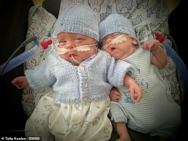 Twins Ashley and Joe pictured when they were in hospital. Talia went into labour 17 weeks early before welcoming the boys, who were so premature their eyes were still fused shut