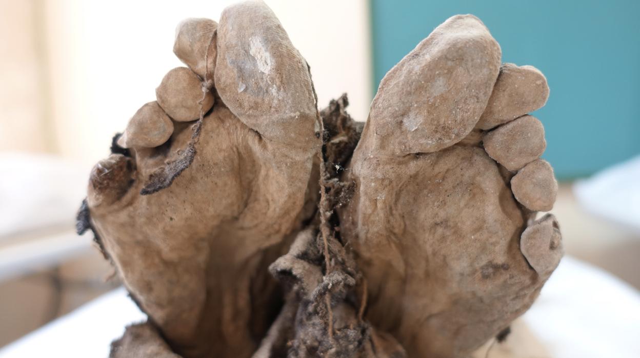 Un pueblo de Zaragoza hace un museo con los cadáveres momificados ...