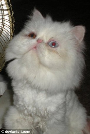 Frosty, Heidi and Frank: Ryan Havens Tannenholz