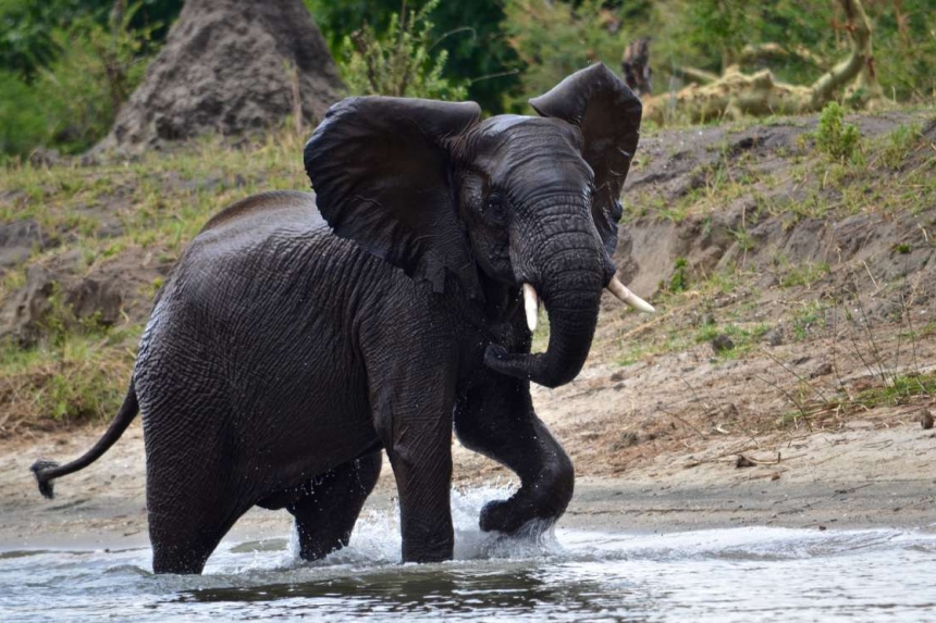 Malawi - the warm heart of Africa!