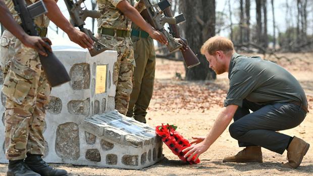 Duke of Sussex lays wreath for fallen soldier - AfricansLive