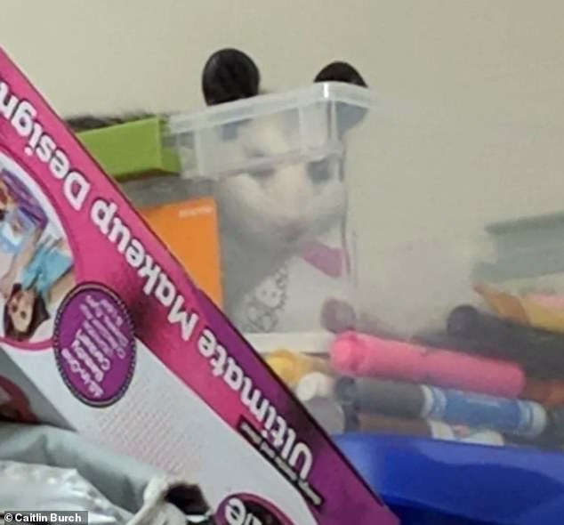 Surprise! The Ohio couple checked but found nothing and assumed it was nothing. But after three days, they found a possum had been living there