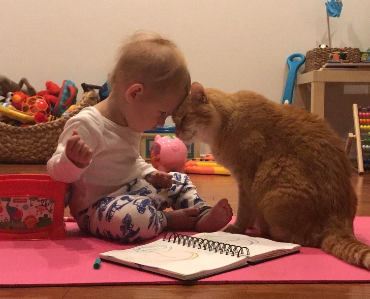 20+ Senior Pets That Still Have Our Hearts and Always Will