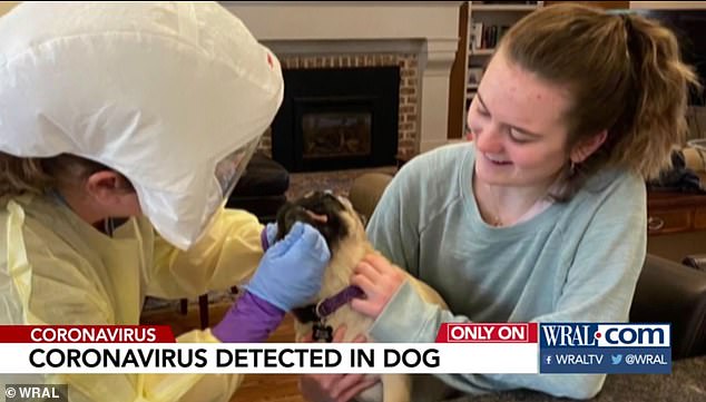 On April 1, researchers from Duke went to the family