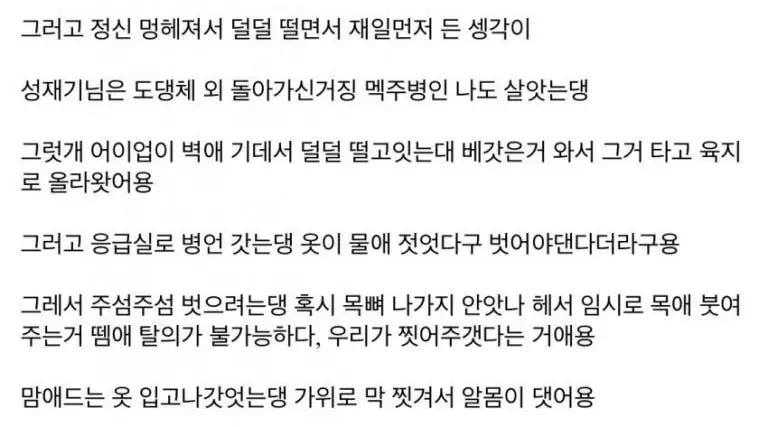 이미지: 텍스트