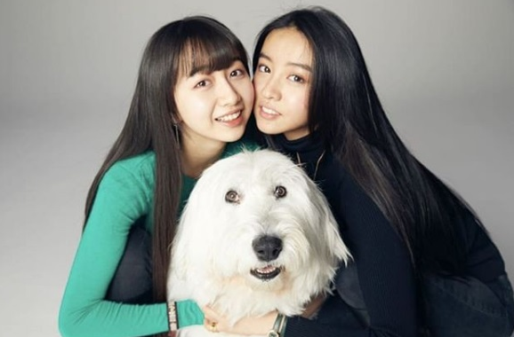 akiko-no-blog.com
