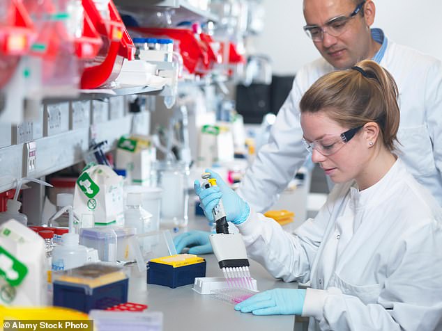 Pictured: An Oxford University Jenner Institute scientist using a multi-channel pipette