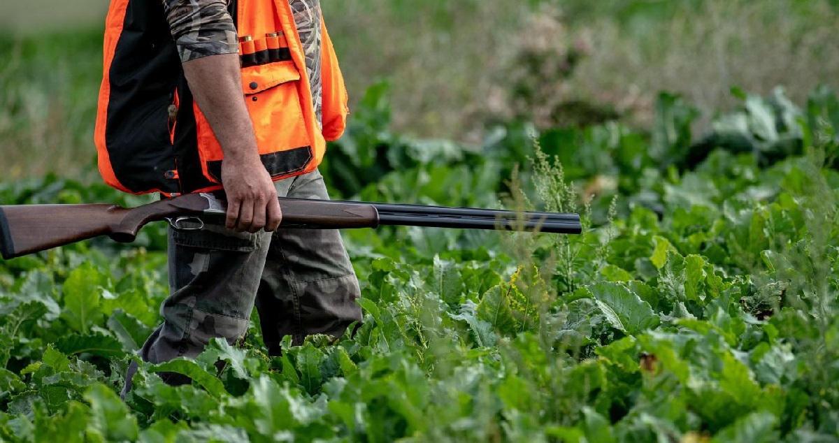 Confinement: Les chasseurs sont appelés en \