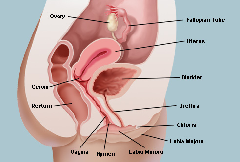 Cervical cancer symptoms differ from vaginal and uterine