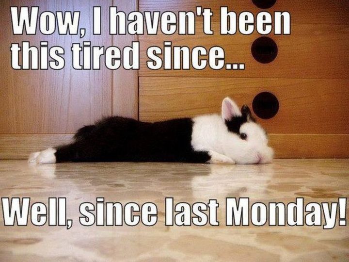 Top 26 Monday Memes - 