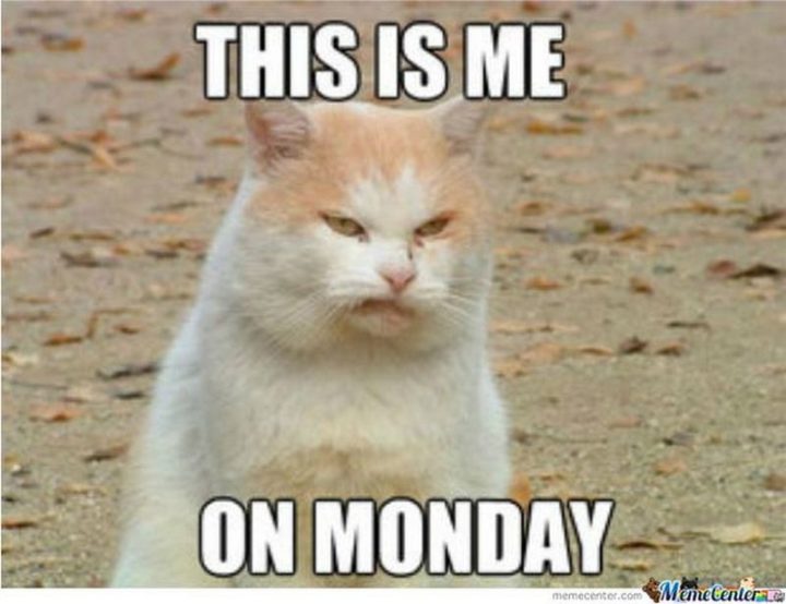 Top 26 Monday Memes - 