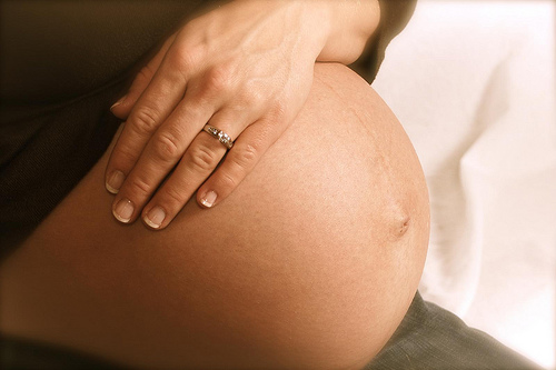 Diputada de Morena propone que sea delito abandonar a las ...