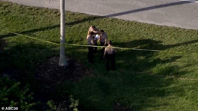 Officers are seen above at the scene of where the boy