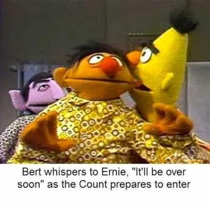 Dark Humored Bert and Ernie Memes Sure To Make You Smile