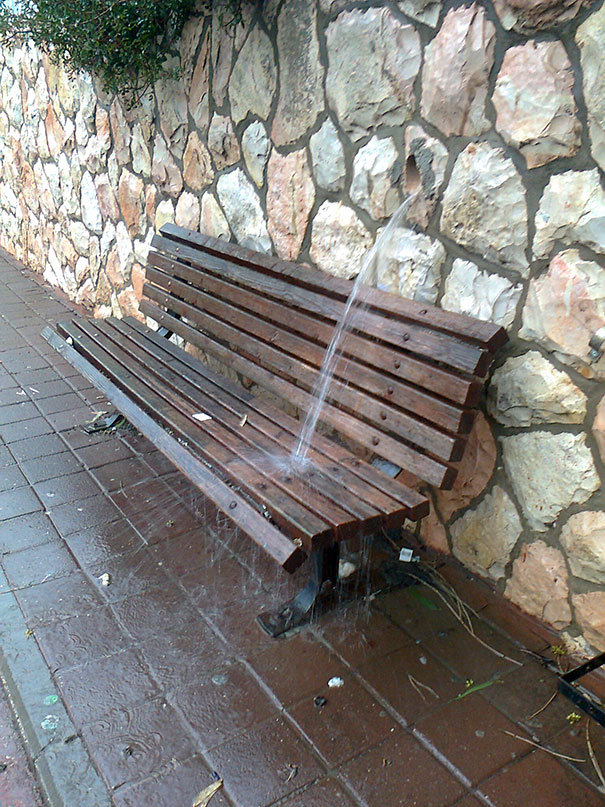 You had one job