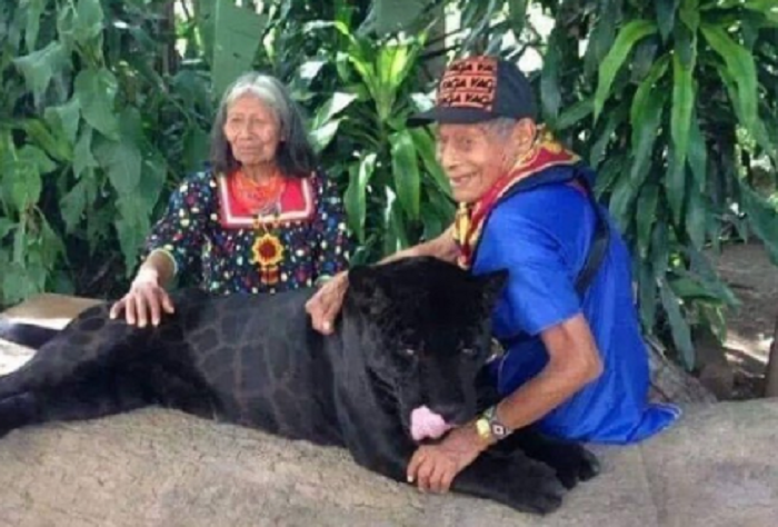 transdocnoticias di Twitter: "#Nacional Pareja de ancianos mayas ...