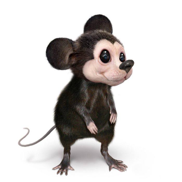 real life cartoon characters
