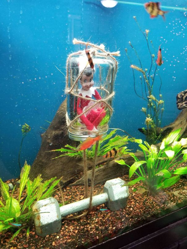 elf on the shelf funny ideas