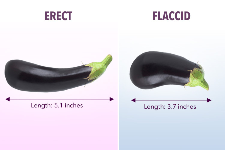 Research surrounding the average penis size reveals startling findings.