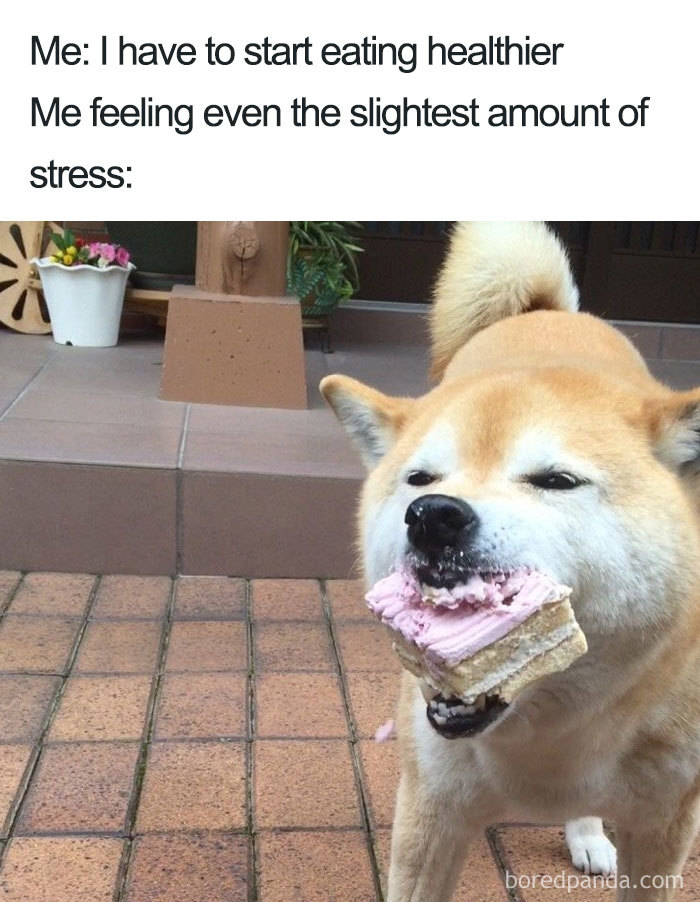 funny food memes