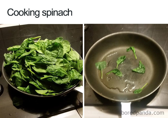 funny food memes