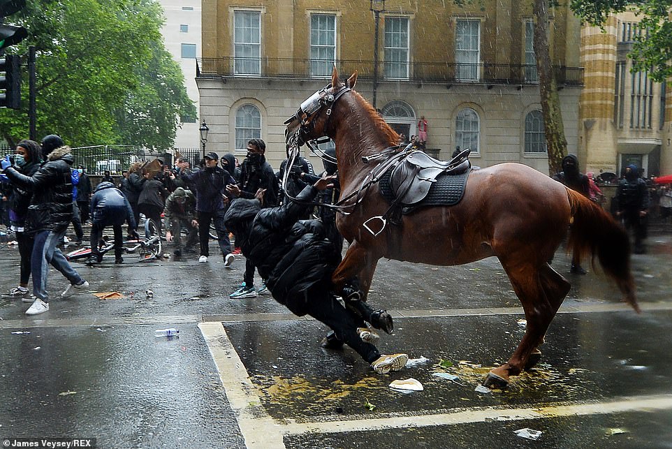 The runaway police horse then turns back on itself, slamming a demonstrator to the ground as it attempts to flee the scene
