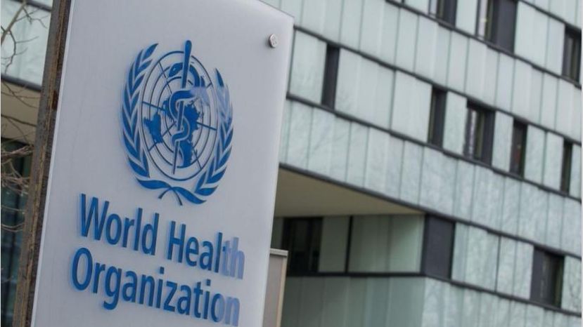 Coronavirus: qué opina la OMS sobre el "pasaporte inmunológico ...