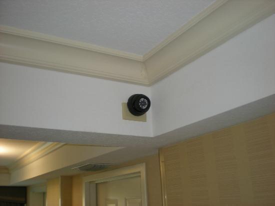 Foto de Radisson Hotel Orlando - Lake Buena Vista: Cámaras de ...