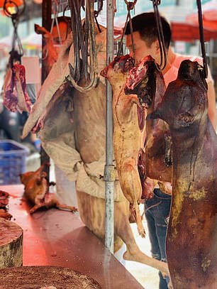 Officials called for 