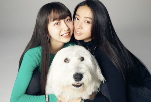 taishu.jp
