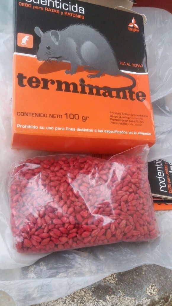 Raticida. Veneno Para Ratas Y Ratones 200 Grs - $ 185,00 en ...