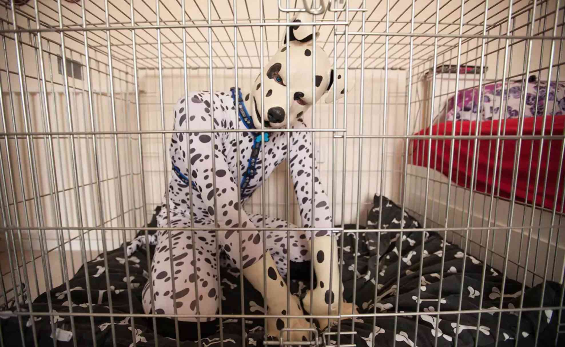 Transespecie: el hombre que siente como un perro dálmata